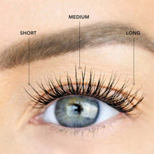 Load image into Gallery viewer, lashsense-lashes-bloom-box