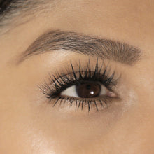 Load image into Gallery viewer, lashsense-lashes-bloom-box