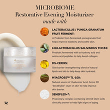 Load image into Gallery viewer, microbiome-restorative-evening-moisturizer